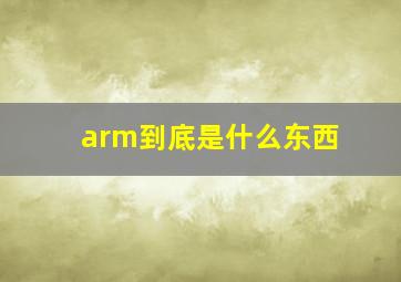 arm到底是什么东西