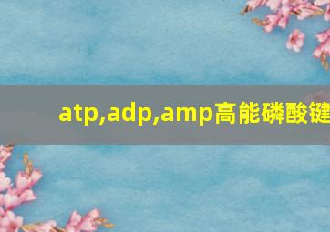 atp,adp,amp高能磷酸键