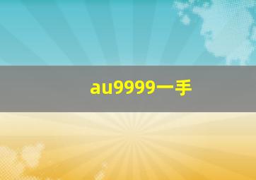 au9999一手