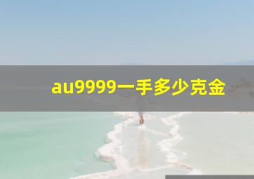 au9999一手多少克金