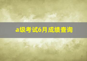 a级考试6月成绩查询