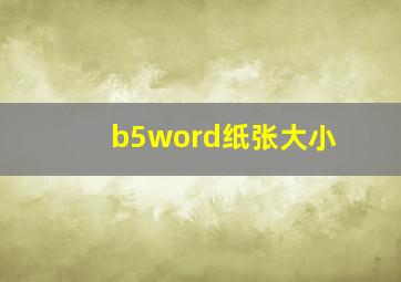 b5word纸张大小