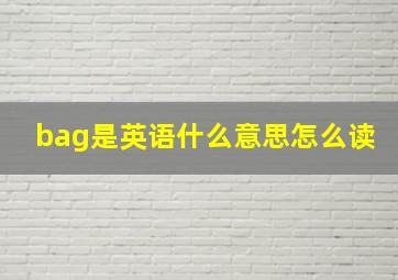 bag是英语什么意思怎么读