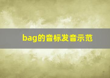 bag的音标发音示范