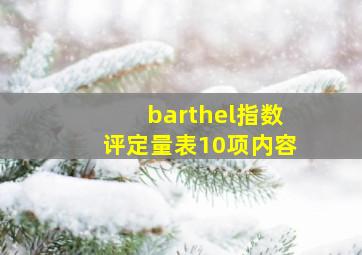 barthel指数评定量表10项内容