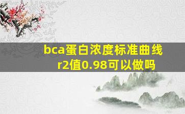 bca蛋白浓度标准曲线r2值0.98可以做吗