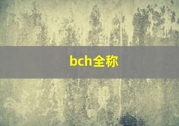 bch全称