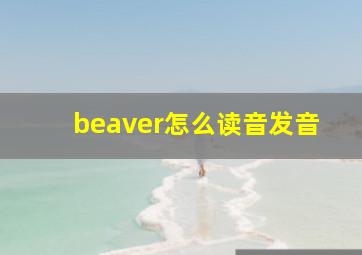 beaver怎么读音发音