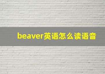 beaver英语怎么读语音