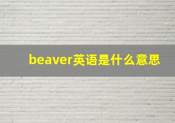 beaver英语是什么意思