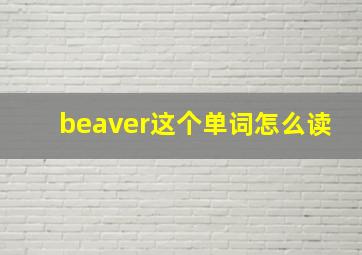 beaver这个单词怎么读