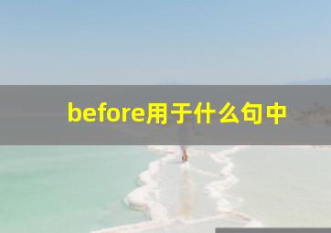 before用于什么句中