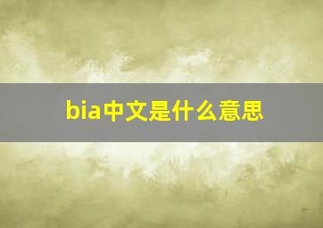 bia中文是什么意思