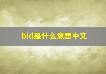 bid是什么意思中文