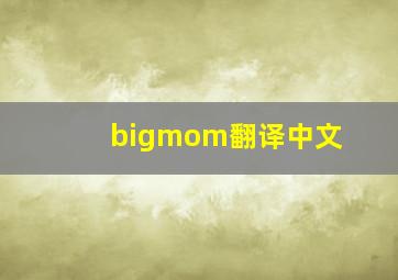 bigmom翻译中文