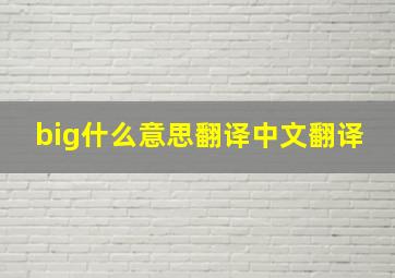 big什么意思翻译中文翻译