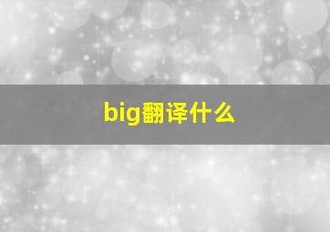 big翻译什么