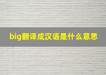 big翻译成汉语是什么意思