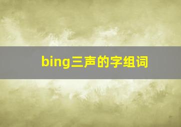 bing三声的字组词