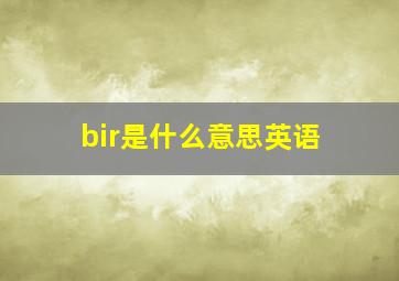 bir是什么意思英语