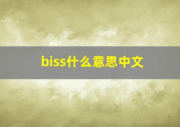 biss什么意思中文