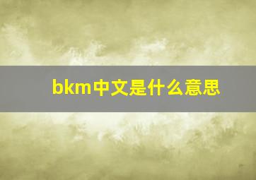 bkm中文是什么意思