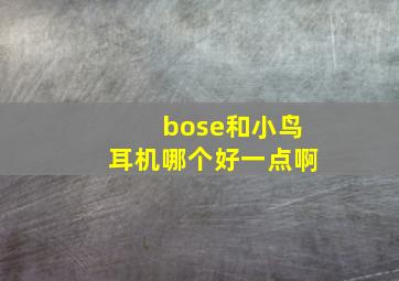 bose和小鸟耳机哪个好一点啊