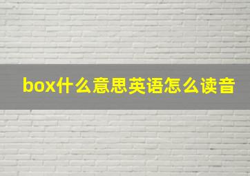 box什么意思英语怎么读音