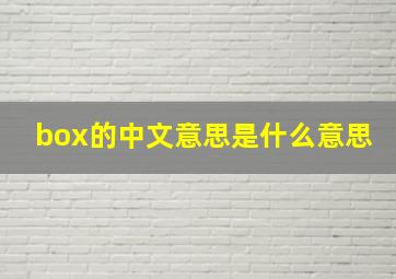 box的中文意思是什么意思