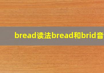 bread读法bread和brid音标