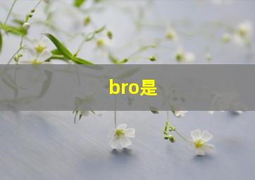 bro是