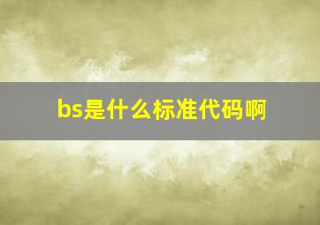 bs是什么标准代码啊