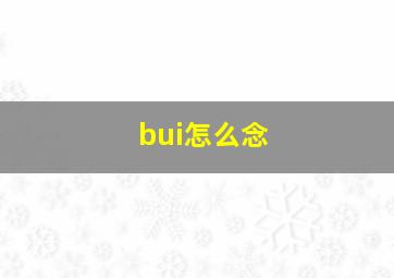 bui怎么念