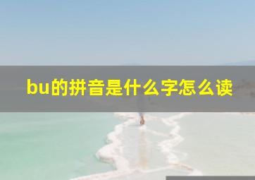 bu的拼音是什么字怎么读