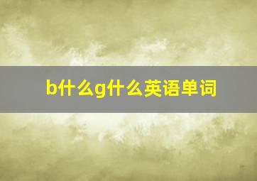 b什么g什么英语单词