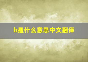 b是什么意思中文翻译