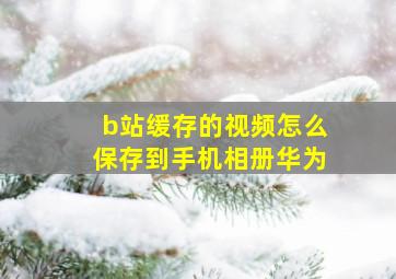 b站缓存的视频怎么保存到手机相册华为