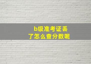 b级准考证丢了怎么查分数呢