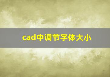 cad中调节字体大小