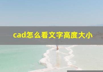 cad怎么看文字高度大小