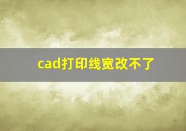 cad打印线宽改不了