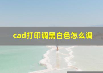 cad打印调黑白色怎么调