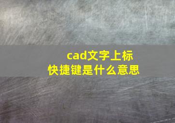 cad文字上标快捷键是什么意思