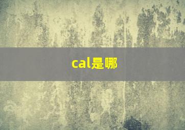 cal是哪