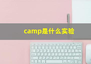 camp是什么实验