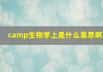 camp生物学上是什么意思啊