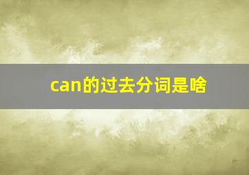 can的过去分词是啥