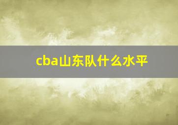 cba山东队什么水平