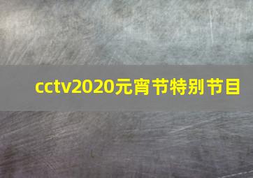 cctv2020元宵节特别节目