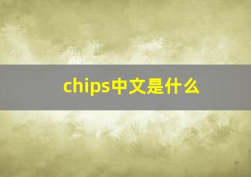 chips中文是什么